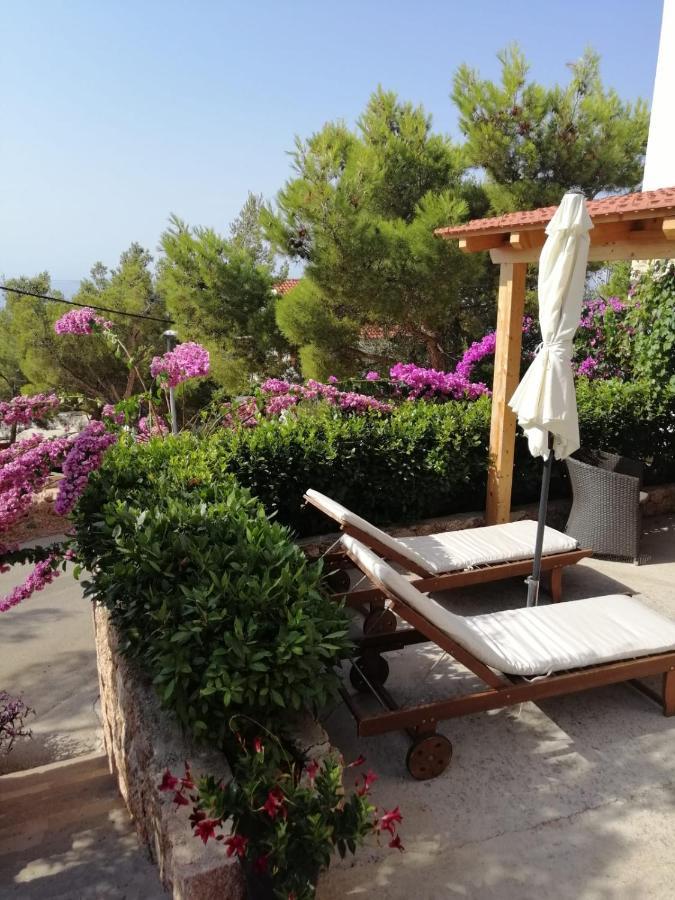 Apartmani Nila Sveta Nedelja  Exterior foto